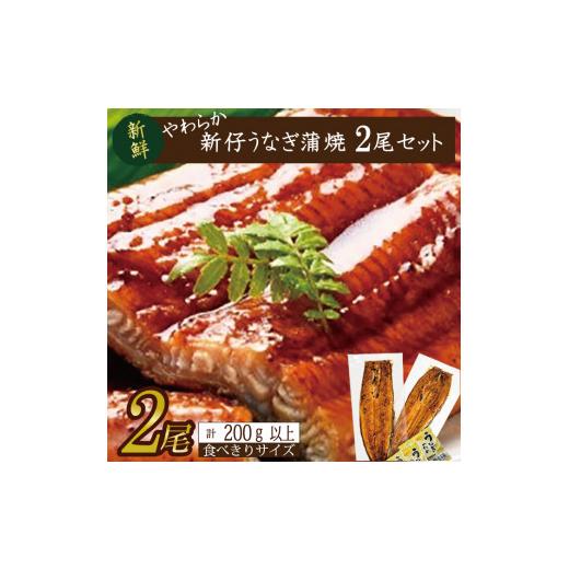 ふるさと納税 茨城県 行方市 AD-106　やわらか新仔うなぎ食べ切りサイズ100〜120g　2尾　計200ｇ以上