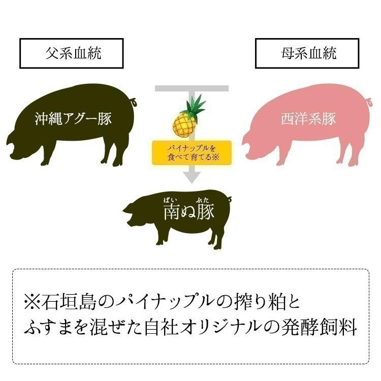 沖縄県石垣島産 アグー豚 南ぬ豚(ぱいぬぶた) あらびきソーセージ 100g 冷凍