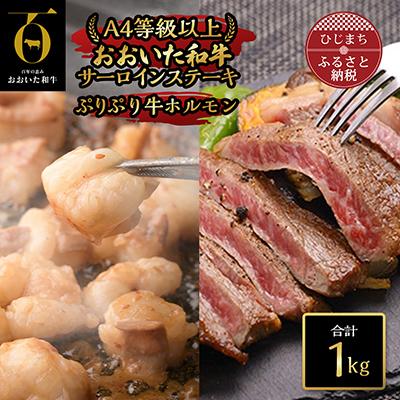 ふるさと納税 日出町 おおいた和牛サーロインステーキぷりぷりホルモン(合計1kg)