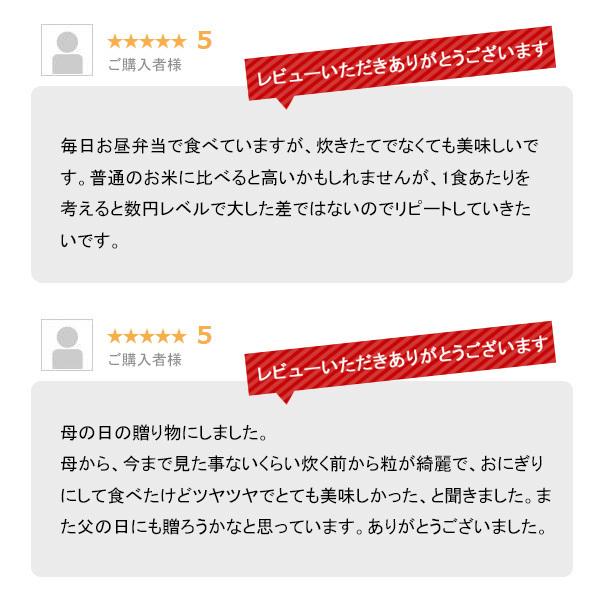 新米 10kg 極上魚沼産コシヒカリ お米 10キロ 令和5年産 送料無料 こしひかり 精米 白米 5kgx2袋