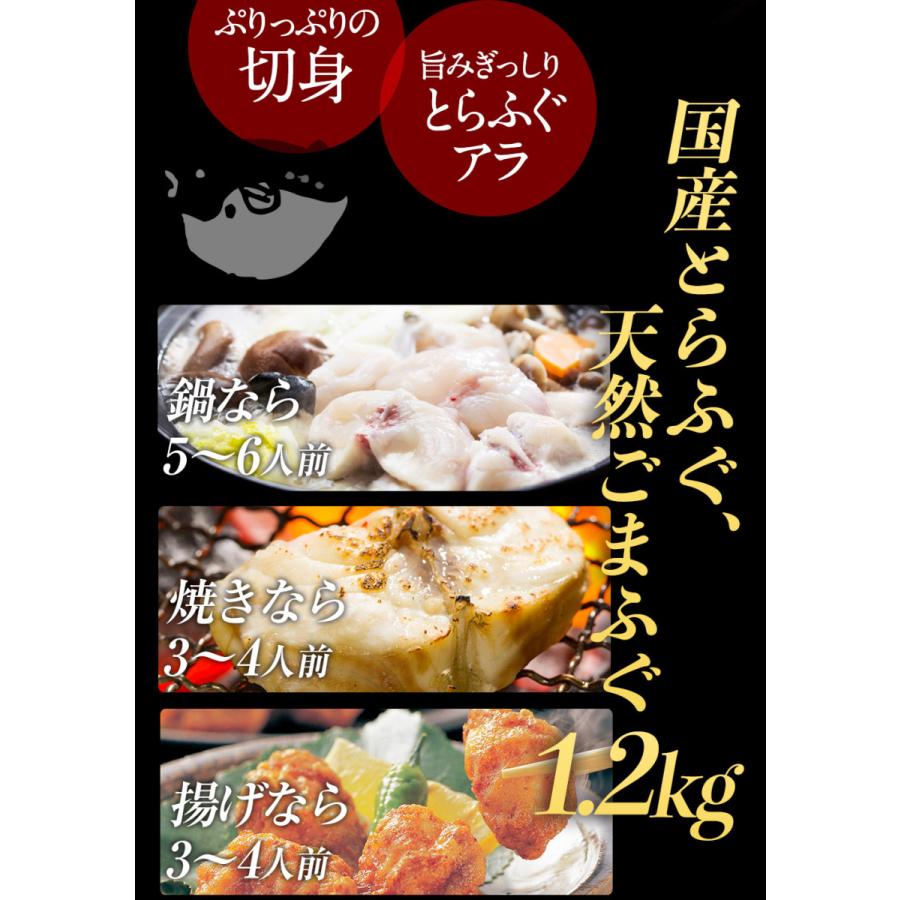 国産ふぐ ふぐ鍋 ふぐ刺し 白子 セット 5〜6人前 てっちり てっさ 河豚 フグ 天然 業務用 お取り寄せ お歳暮