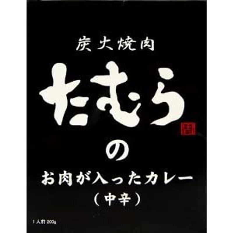 10箱セット 炭火焼肉たむらの お肉が入ったカレー ×10箱セット 全国こだわりご当地カレー