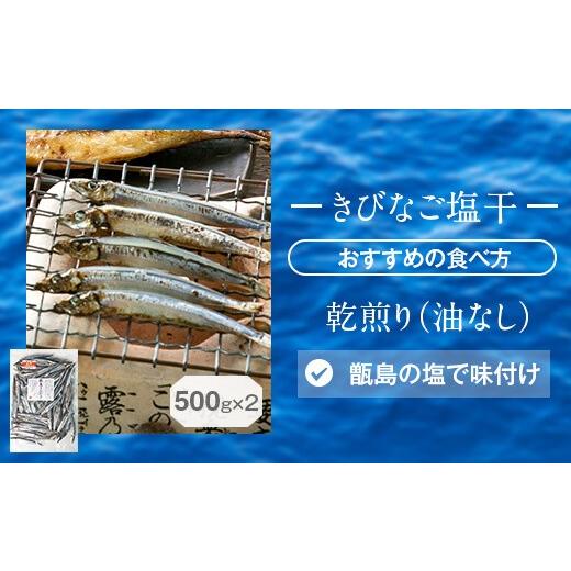 ふるさと納税 鹿児島県 薩摩川内市 AS-005 きびなご塩干1kgセット(500g×2)