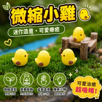 小廢物研究所 微縮小雞 微景觀 小雞 小黃 苔蘚生態瓶配件 景觀盆栽 迷你袖珍 造景 小廢物 上課無聊小玩具