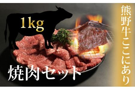 希少和牛 熊野牛 焼肉セット（1kg）（ロース300g バラ焼肉400g モモ焼肉300g） ＜冷蔵＞