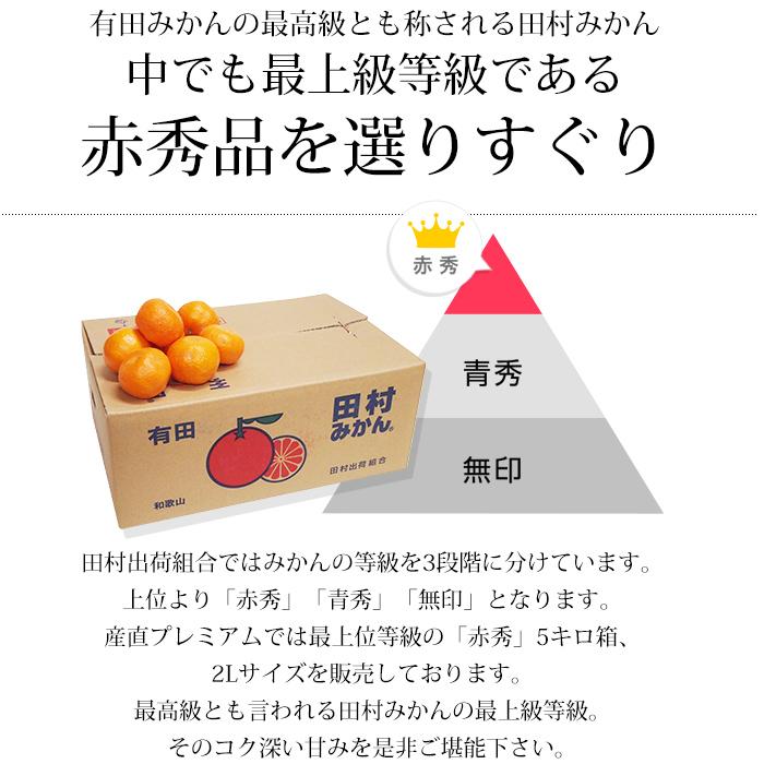 みかん 和歌山県産 田村みかん 赤秀 約5kg 2Lサイズ 約35個