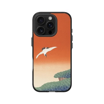 iPhone 16 Pro Clear 酷墨灰 - The British Library - 鶴 ‧ 俯翔