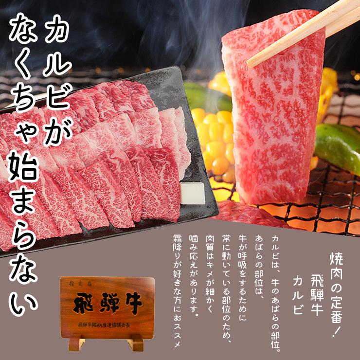 肉 福袋 牛肉 焼肉セット 飛騨牛 メガ盛り 1kg カルビ もも かた肉 赤身 約4〜5人 焼肉 焼き肉 黒毛和牛 バーベキュー バーベキューセット お取り寄せグルメ