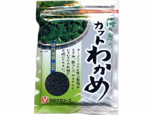  カットわかめ 韓国産 27g ｘ10 個_10セット