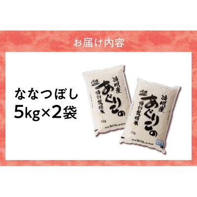 ふるさと納税 滝川市 特別栽培ななつぼし 5kg×2