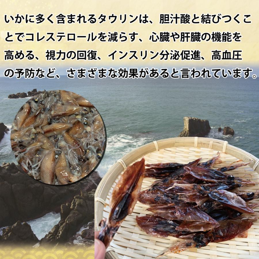 ホタルイカ 素干し (20g) お試しサイズ おつまみ ほたるいか 干物 珍味  晩酌 ギフト 日本海産 無添加食品 美味しい お試し 美味しい 産地 ビール 父の日 海鮮