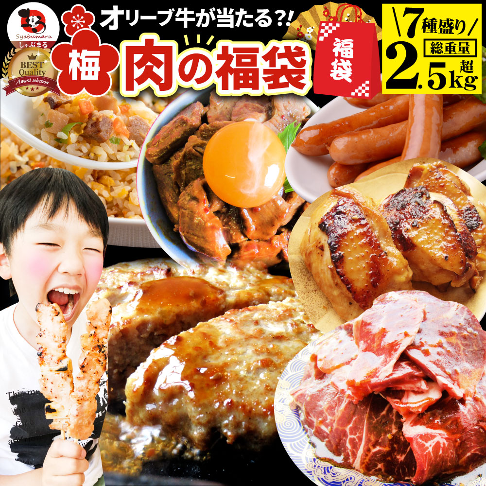 肉 福袋 肉の福袋 「梅福袋」牛肉 食品 メガ盛り 総重量2.5kg超 焼くだけ＆レンジで簡単調理！ランキング1位＆人気のお肉豪華セット