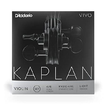 D'Addario ダダリオ バイオリン弦 Kaplan Vivo セット KV310 4L Light Tension 