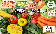 野菜 太陽の野菜セット  季節ごと旬の野菜  配送先は本州限定 2023年8月中旬頃から2023年10月中旬頃まで順次発送予定 ビオ農産物 太陽の恵み 化学肥料 除草剤 不使用 長野県 飯綱町 [1041]