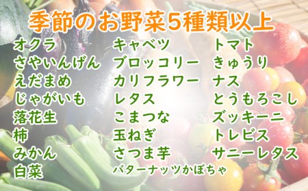 旬 野菜 新鮮 減農薬 5種類 以上 詰め合わせ セット 産地直送 キャベツ ブロッコリー カリフラワー レタス こまつな 玉ねぎ さつま芋 オクラ いんげん えだまめ 落花生 柿 みかん 白菜 トマト きゅうり なす とうもろこし ズッキーニ トレビス サニーレタス