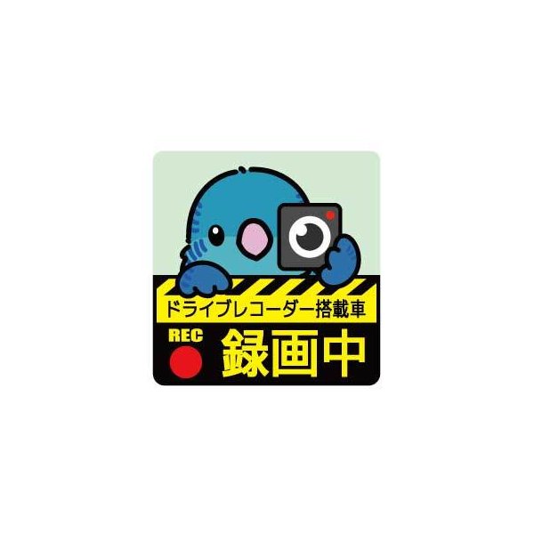 ゆとり屋 ドライブレコーダー ステッカー サザナミインコ 青 ネコポス 対応可能 Birdmore バードモア 鳥用品 鳥グッズ 雑貨 グッズ 鳥 とり トリ インコ 通販 Lineポイント最大get Lineショッピング