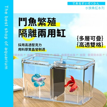 魚寶貝【高透方形雙格鬥魚繁殖 / 隔離兩用缸】鬥魚缸 雙格魚缸 壓克力魚缸 繁殖缸 隔離缸 可拆隔板 桌缸 鬥魚隔離
