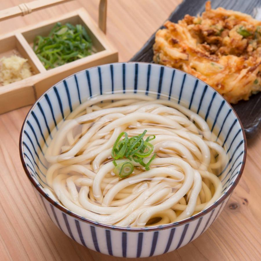 通常麺 讃岐うどん 6食 300g×2 もちもち食感 讃岐うどん ポスト投函便 送料無料 ポイント消化