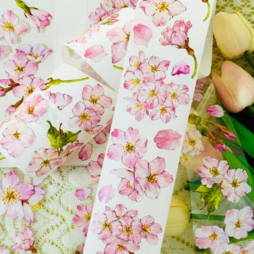 初見 PET 和紙膠帶 6米卷