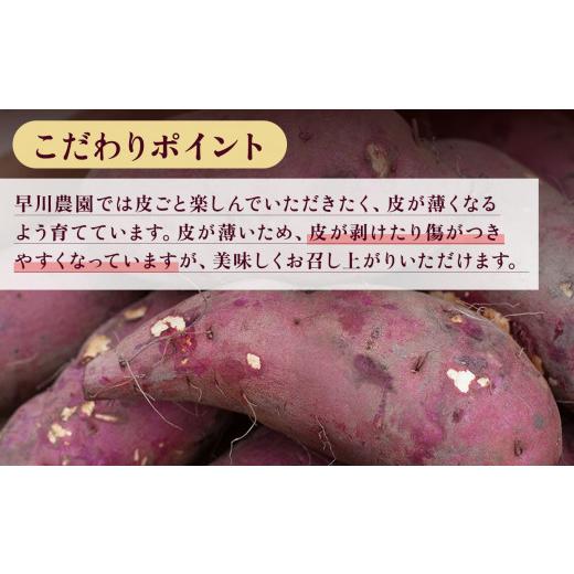 ふるさと納税 秋田県 鹿角市 秋田県鹿角産 さつまいも「紅はるか」約5kg　サツマイモ 焼き芋 詰め合わせ セット 芋 いも 秋田県 秋田 あ…