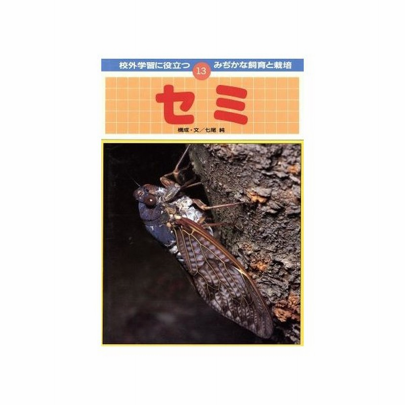 セミ 校外学習に役立つ みぢかな飼育と栽培１３ 七尾純 その他 通販 Lineポイント最大0 5 Get Lineショッピング