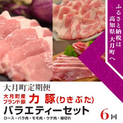 ふるさと納税 大月町 高知県大月町産ブランド豚　力豚バラエティーセット 計6回