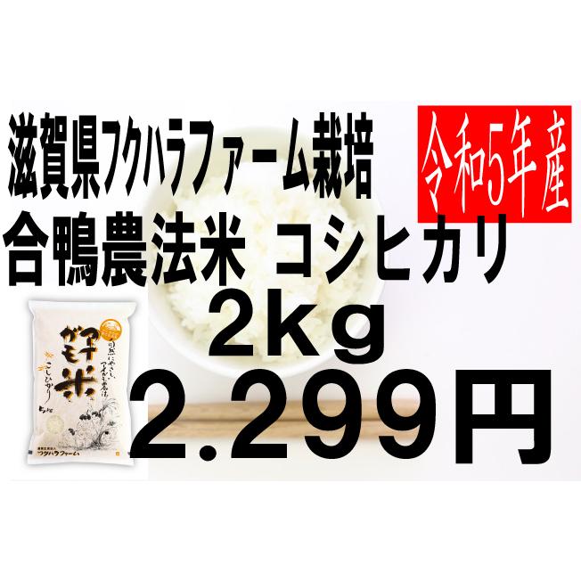 米　令和5年度産　滋賀県産　フクハラファーム栽培　合鴨農法　コシヒカリ 2kg
