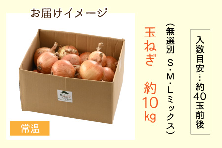 玉ねぎ 10kg（サイズ S M L ミックス）田んぼで育てた甘くて柔らか自慢の玉ねぎ！／ 野菜 玉葱 たまねぎ 甘い ※2024年7月上旬より順次発送