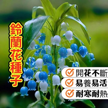 💥台灣發貨💥熱銷【 鈴蘭花種子】，幸福傳遞！純白風鈴花朵、清香滿園，象徵愛情與幸運，稀有品種限量搶購，打造專屬浪漫花園！