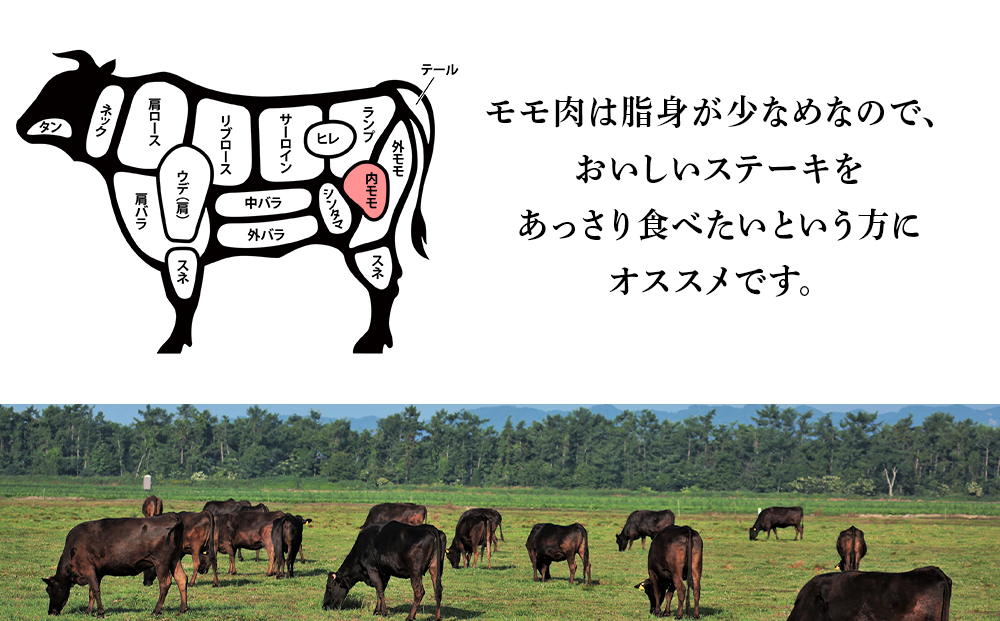 北海道 白老産 黒毛和牛 特上 モモ 赤身 ステーキ 150ｇ×4枚 BS031