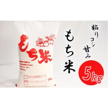 ふるさと納税 南宮山の麓で育った羽二重もち米 5kg 岐阜県垂井町