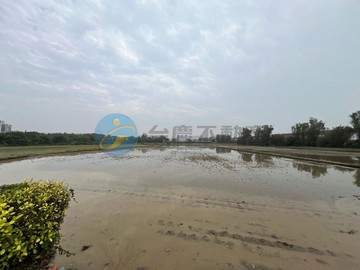 專委-158近青埔棒球場持分美田｜桃園市中壢區芭里段