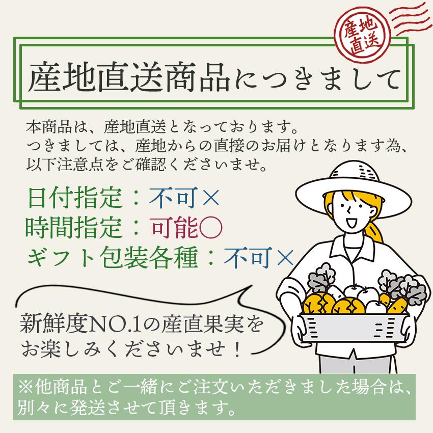 長崎県島原産　なかなかバナナ 1kg (冷凍・段ボール入)