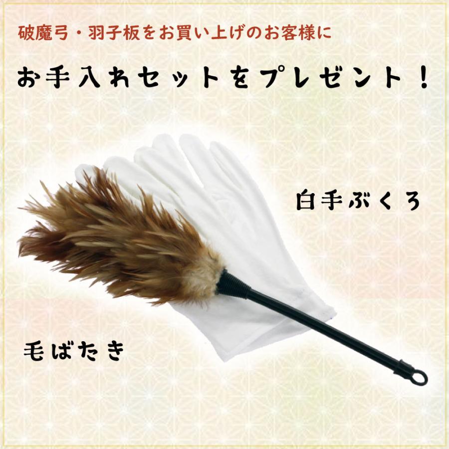 羽子板 お祝い 初正月 ケース飾り アクリルケース舞桜 無垢 ピンク 7号 凛 羽子板付き コンパクト 宝童