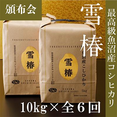 ふるさと納税 津南町 2024年1月発送開始『定期便』高級魚沼産コシヒカリ「雪椿」10kg全6回