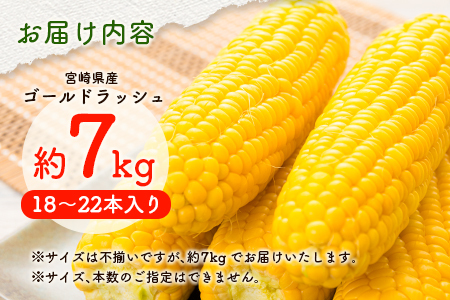 宮崎県産 ゴールドラッシュ 約7kg（18～22本入り）［先行予約］