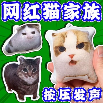 在地熱銷📦德語小貓語音掛件柏林之聲貓希特喵喵髮聲玩偶鑰匙扣 鑰匙圈 鑰匙扣 狸花貓掛件 OJGQ