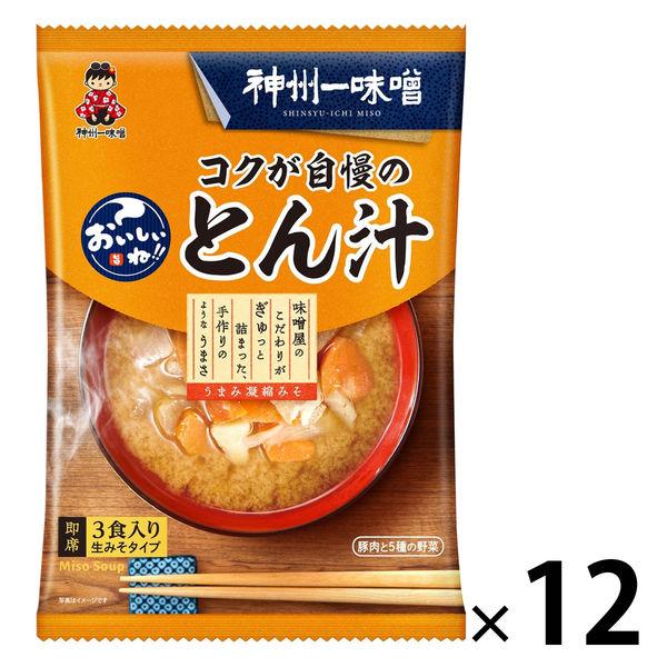 神州一味噌神州一味噌 おいしいね！！コクが自慢のとん汁 1セット（36食：3食入×12袋）