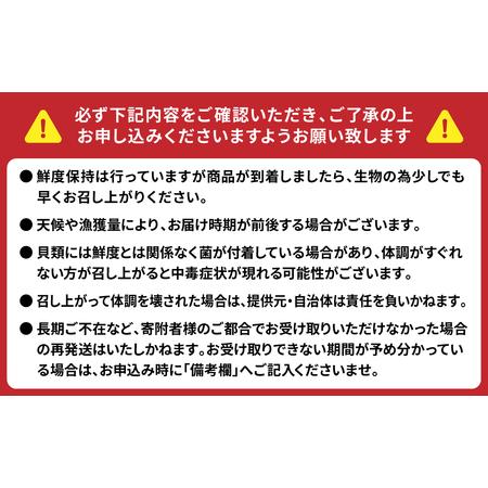 ふるさと納税  牡蠣 鏡オイスター 生食用 1.5kg (約20-25個) オイスター 惣菜  熊本県八代市