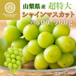 [最短順次発送]   超特大 シャインマスカット 約800-900g 1房 山梨県産  マスカット ぶどう ギフト 通販 果実箱     暑中見舞 残暑見舞