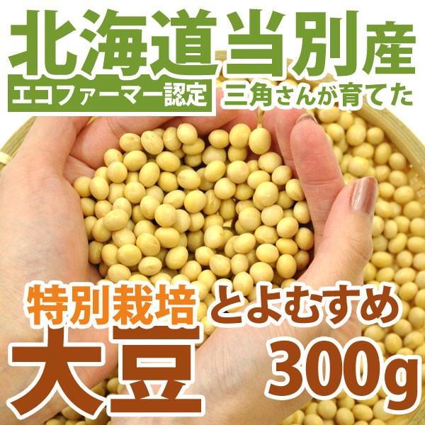 大豆 北海道産 とよむすめ 300g