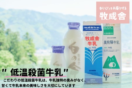 飛騨のカップヨーグルト20個セット 毎月1回お届け 乳製品 ヨーグルト2種類 セット 詰合せ 牧成舎 TR3750