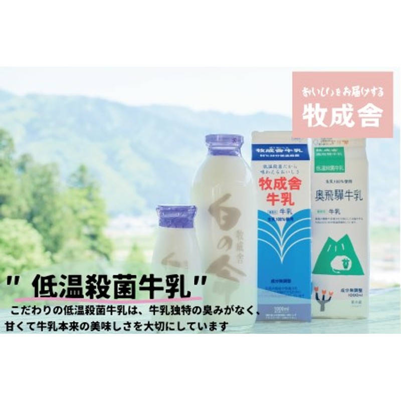 定期便12か月】飛騨産生乳100％無添加の牛乳＆飲むヨーグルトセット 低温殺菌牛乳 保存料不使用 無添加 乳製品 詰合せ 食べ比べ バラエティ 牧成舎  TR3745 通販 LINEポイント最大1.5%GET | LINEショッピング