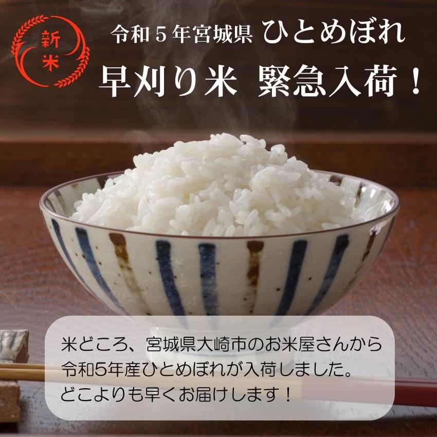 令和5年産 新米 宮城県産 ひとめぼれ 5kg×2 送料無料 10kg 米10kg 送料無 小分け