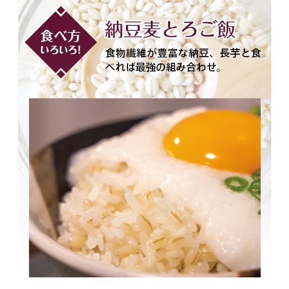 食物繊維 β(ベータ)グルカン 国産もち麦「もち絹香（もちきぬか）」(100g×14袋入)2袋セット 勅使川原精麦所