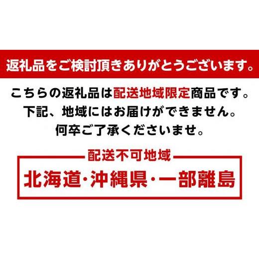 ふるさと納税 和歌山県 かつらぎ町 定期便全3回　和歌山の人気の夏のフルーツをお届け！