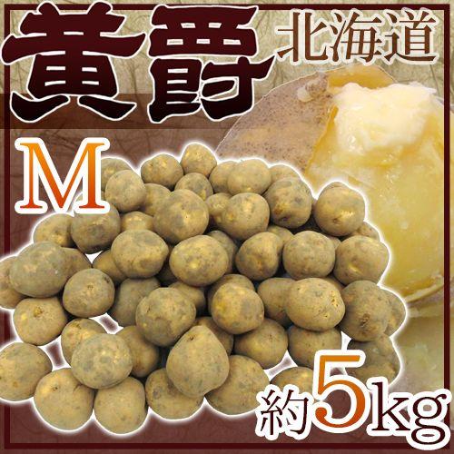 北海道 北見産じゃがいも ”黄爵” 秀品 Mサイズ 約5kg 男爵芋 送料無料