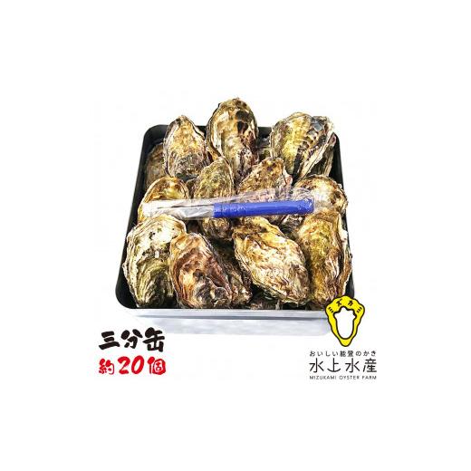 ふるさと納税 石川県 七尾市 水上水産　能登のかき　三分缶ガンガン焼き（約20個・ナイフ付）