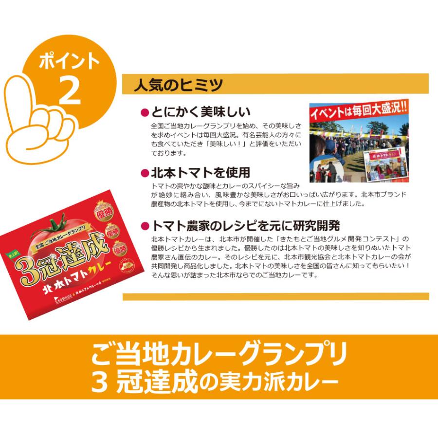 北本 トマト カレー 200g×2個 クリックポスト（代引き不可） レトルト ご当地カレー グランプリ 優勝 保存食