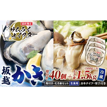 ふるさと納税 牡蠣 生食 坂越かき むき身 500g×3、 殻付き 40個(牡蠣ナイフ・軍手付き)サムライオイスタ.. 兵庫県赤穂市